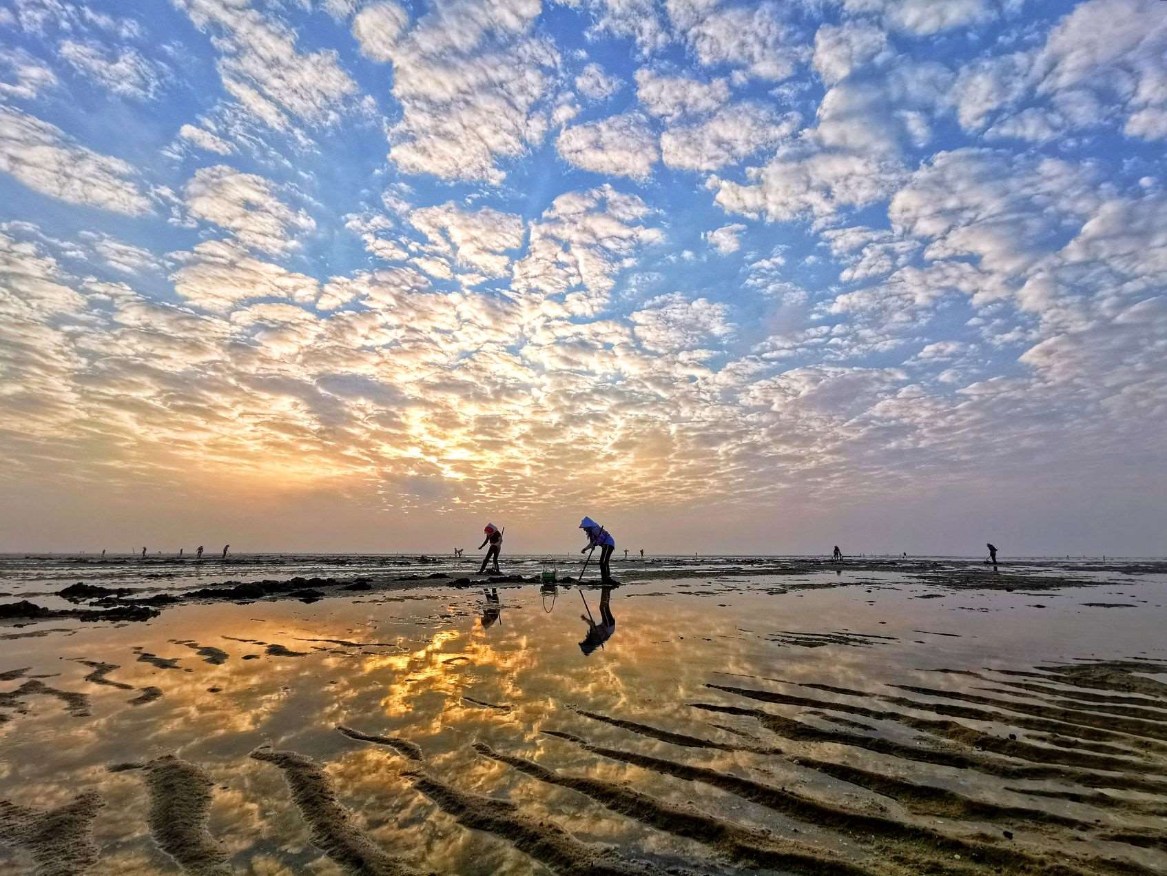 海滩美丽的日出风景