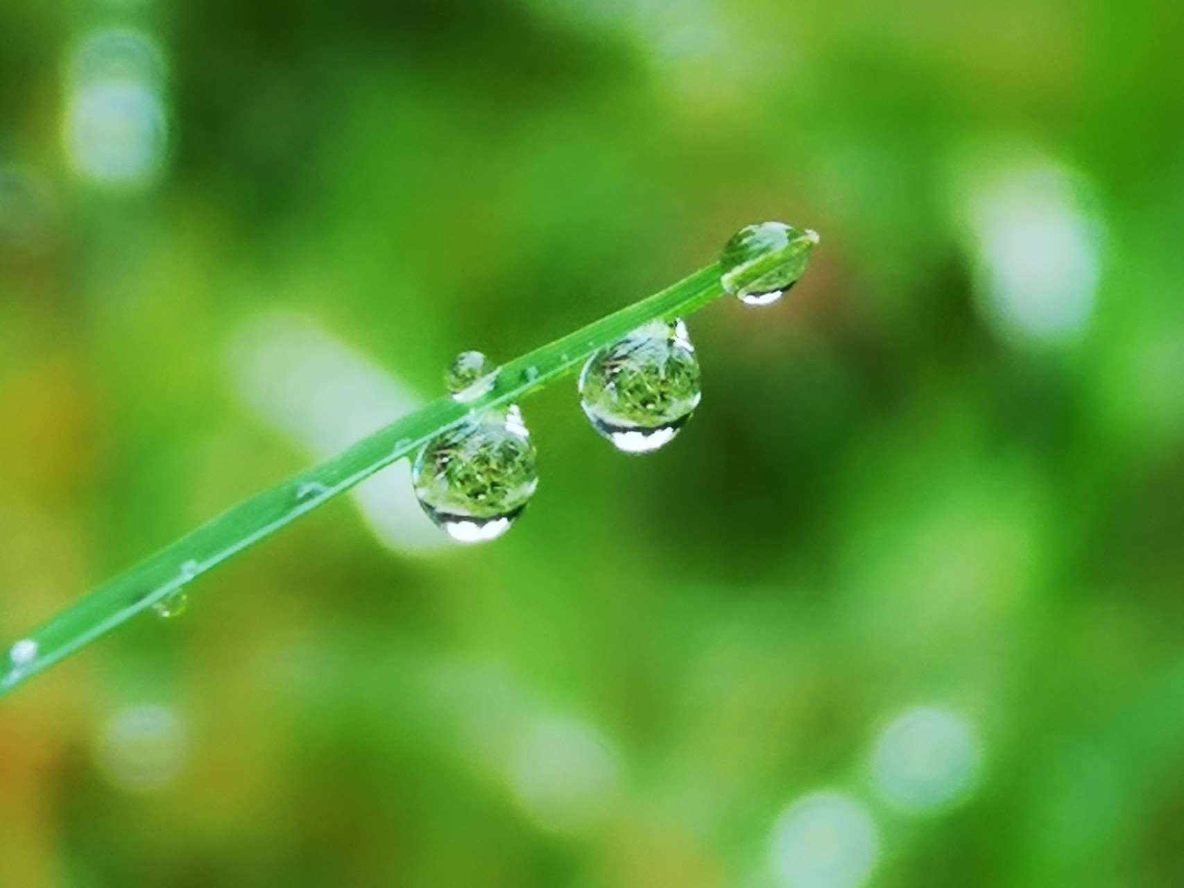 拍不尽的水珠