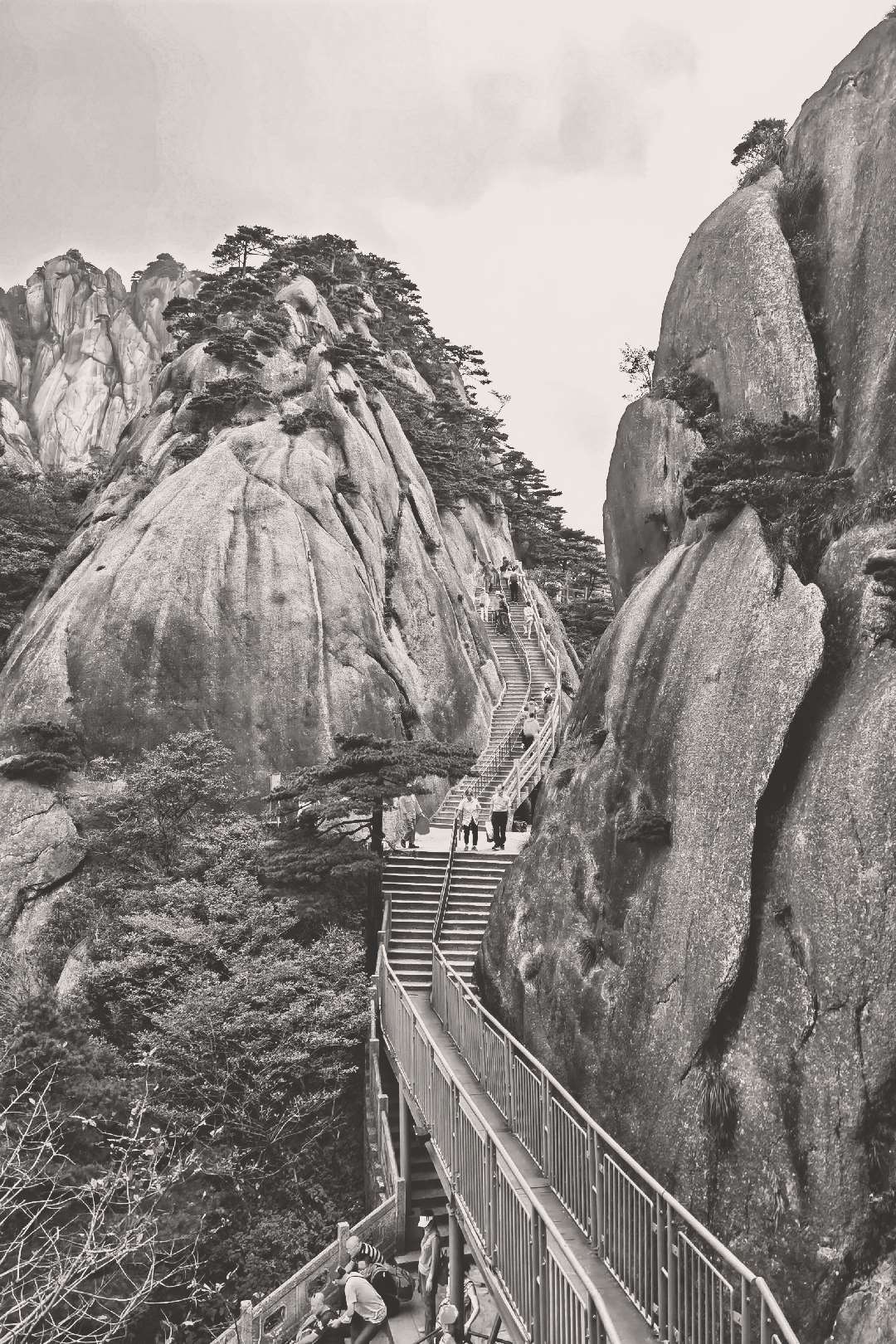 黄山行