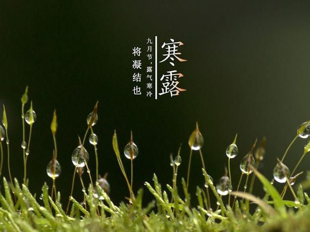 寒露