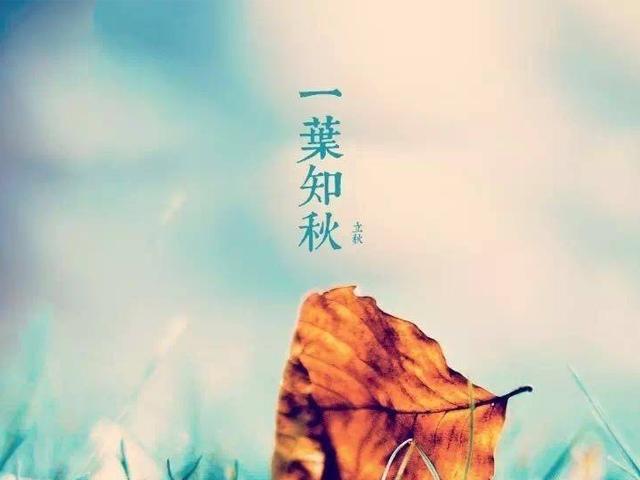 立秋