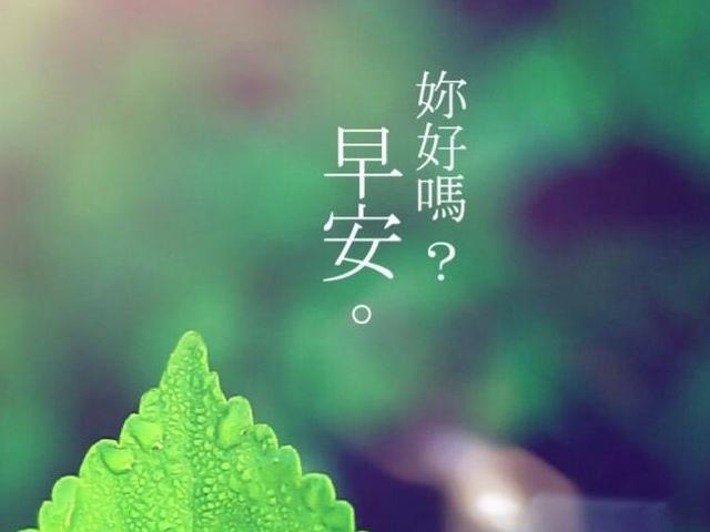 你好早安