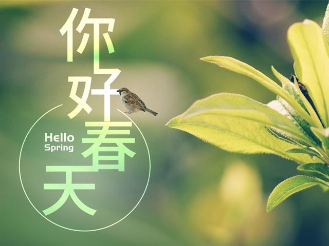 你好春天
