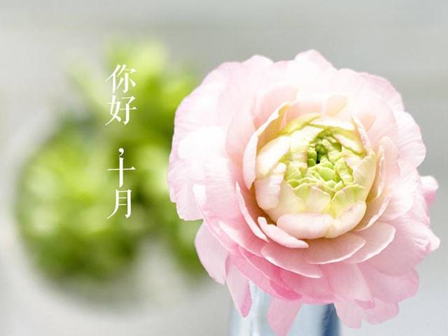 十月你好