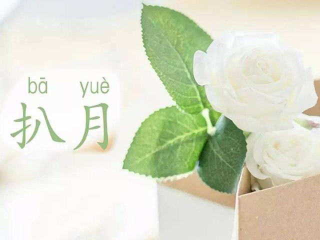 八月你好