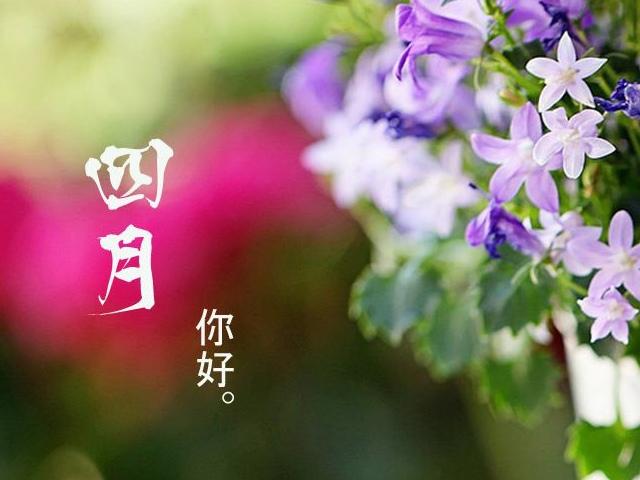 四月你好