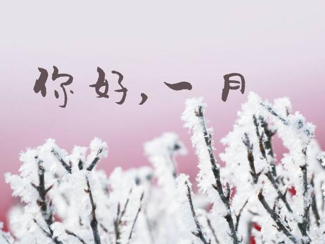 一月你好