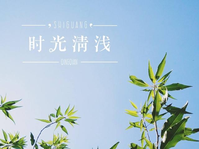 时光清浅 花影微凉