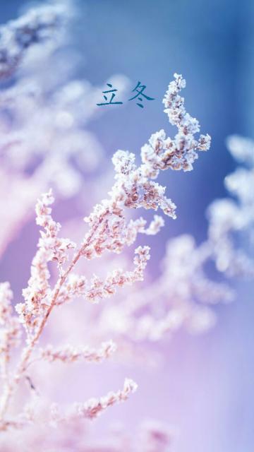 立冬至,瑞雪临
