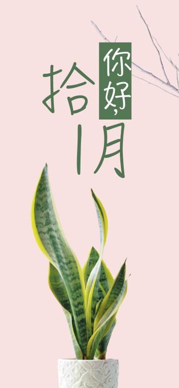 拾1月你好