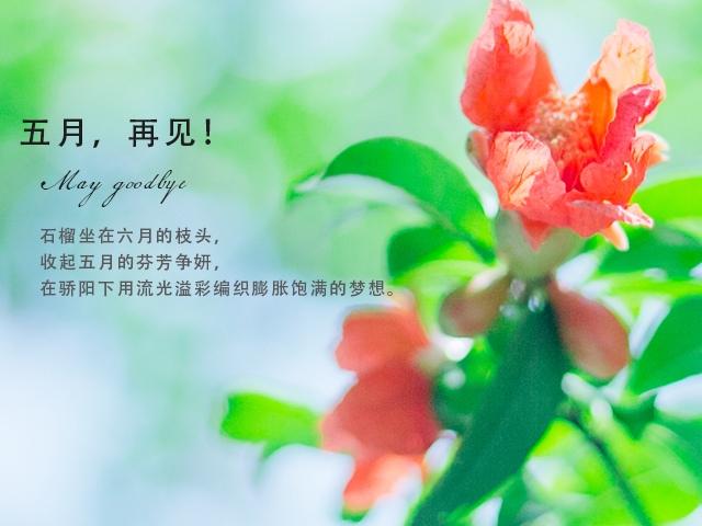 五月再见,六月你好