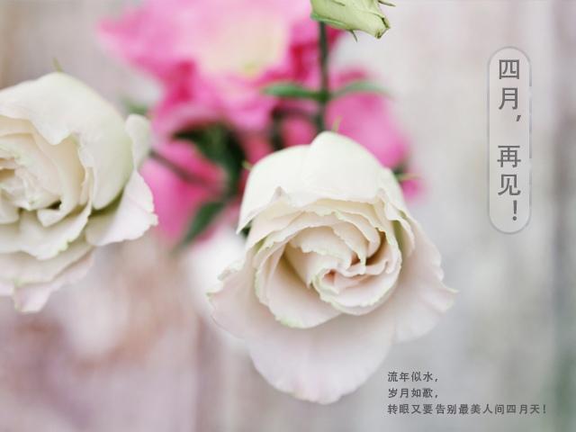 四月再见,五月你好