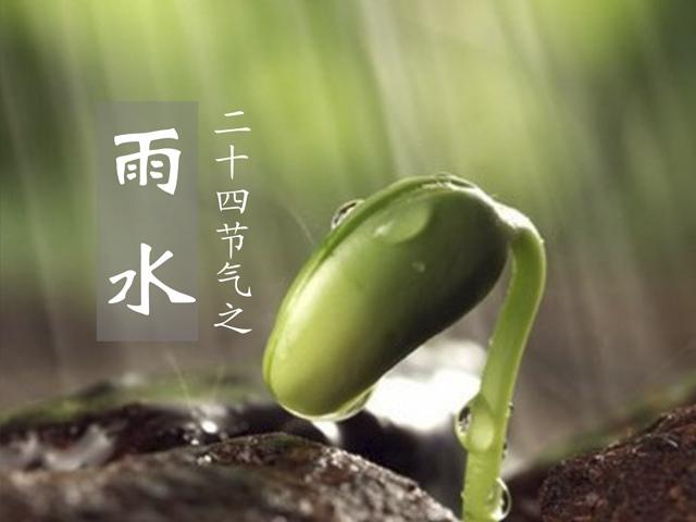 雨水