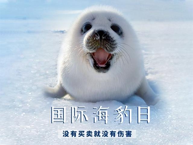 海豹日