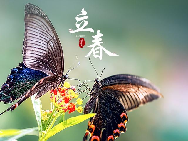 立春