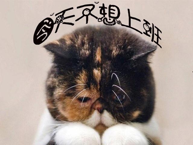 不想上班