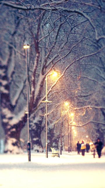 冬日晨雪
