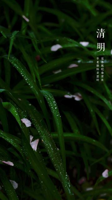 二十四节气清明之露水