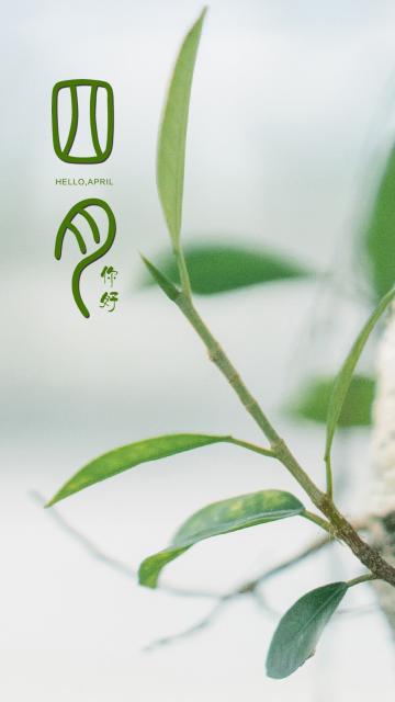 又到阳春,四月你好