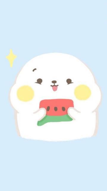 可爱的小海豹
