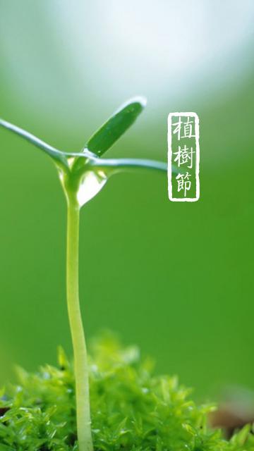 植树节的小嫩芽