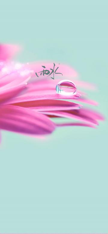 小清新雨水节气之花
