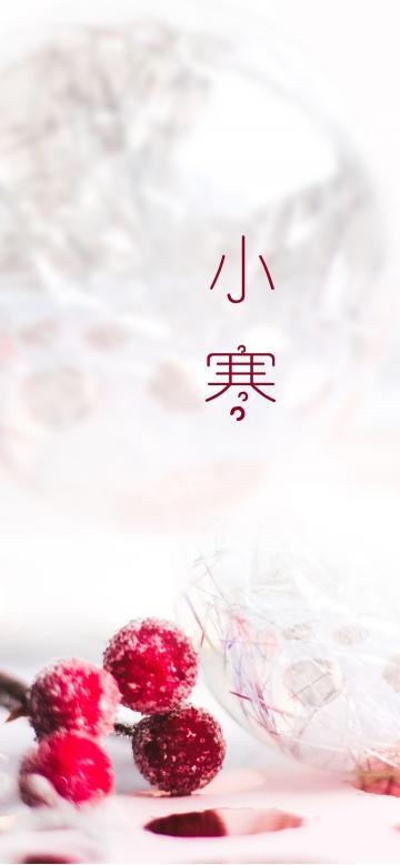 小寒时节的唯美静物写真
