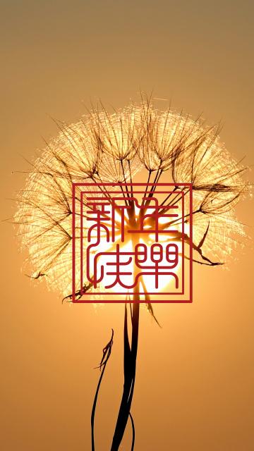 新年又到祝福也到