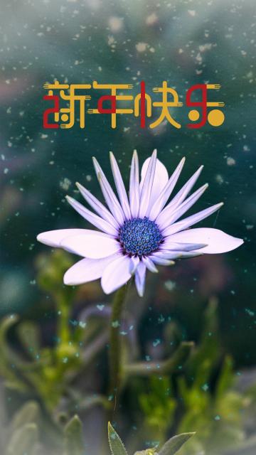 新年好梦 梦梦成真