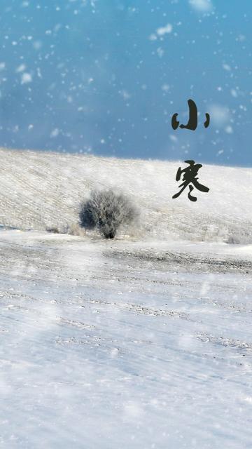 小寒时节雪纷飞