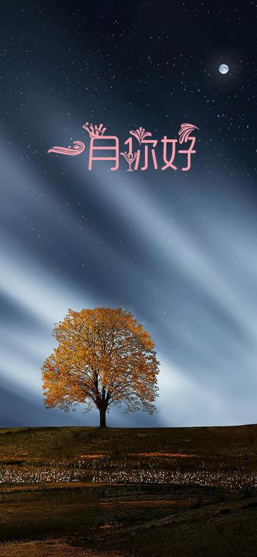 一月高阔的天空挂满着星斗
