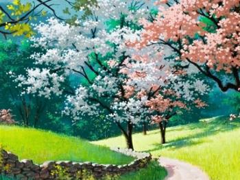 电脑大屏幕