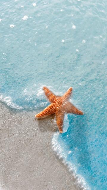 海洋之歌