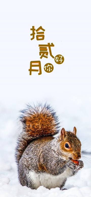 雪地里的小松鼠