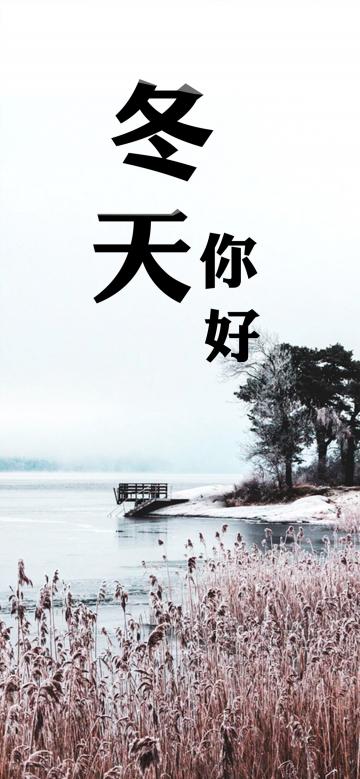 采摘飘雪的冬