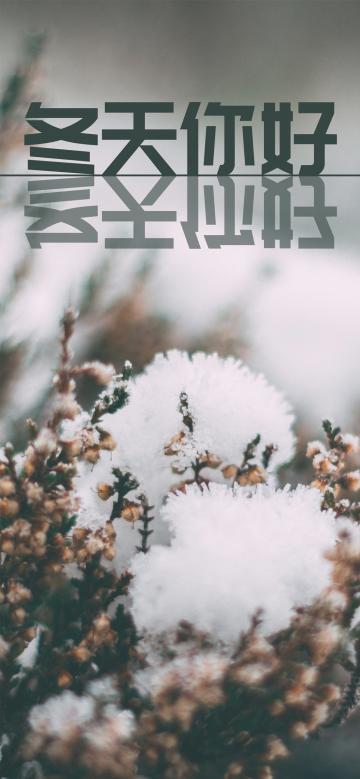 冬季又来到