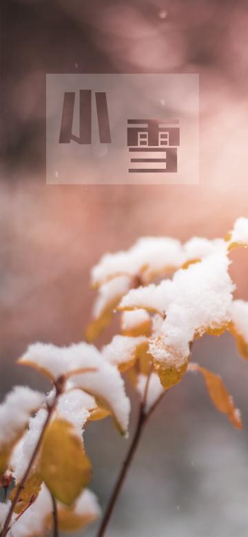 小雪霏霏送旧年