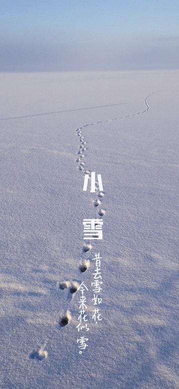 昔去雪如花 今来花似雪