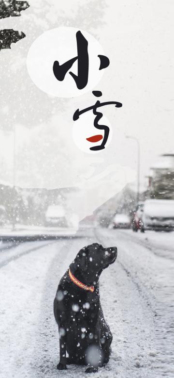 抬头望见漫漫雪花飘
