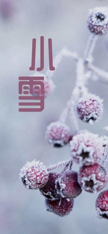 小雪时节的果实