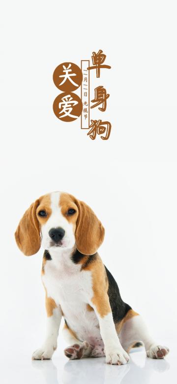 光棍节,关爱单身