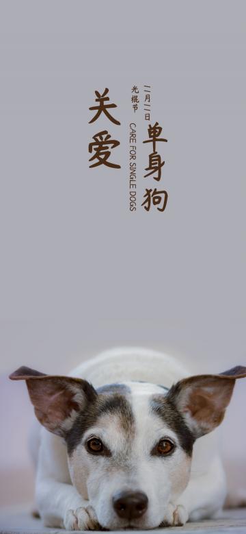 11月11日,单身狗也过节