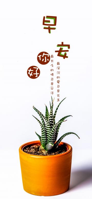 早安/最深沉的爱总是无声