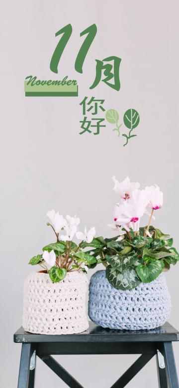 十一月了
