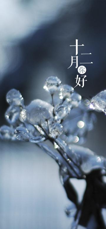 再见十一月,十二月你好