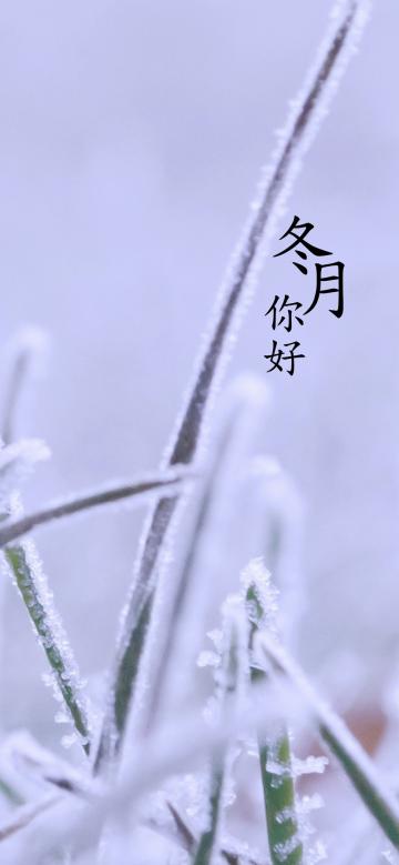 十一月又称冬月