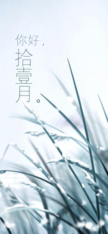 天,试探性地降下一场寒霜