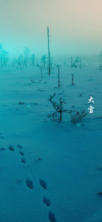 厚厚的积雪
