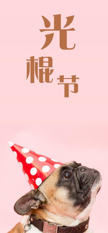 和狗一起过光棍节