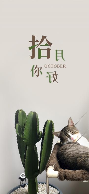 十月你好/迎来凉爽的秋日